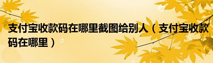 支付宝收款码在哪里截图给别人（支付宝收款码在哪里）