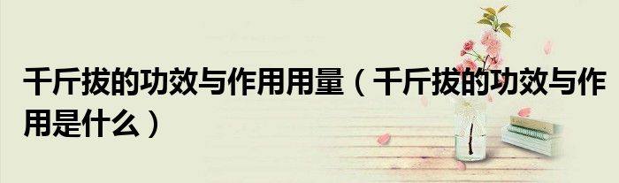 千斤拔的功效与作用用量（千斤拔的功效与作用是什么）