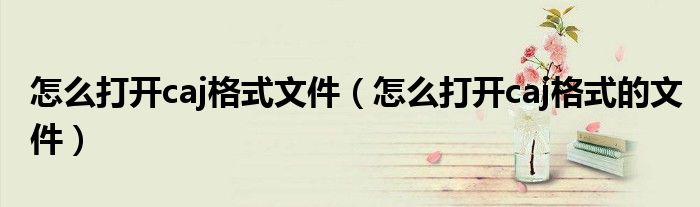怎么打开caj格式文件（怎么打开caj格式的文件）