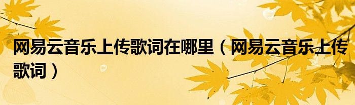 网易云音乐上传歌词在哪里（网易云音乐上传歌词）