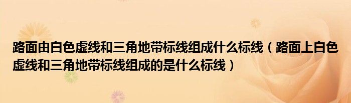 路面由白色虚线和三角地带标线组成什么标线（路面上白色虚线和三角地带标线组成的是什么标线）