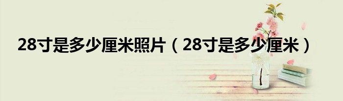 28寸是多少厘米照片（28寸是多少厘米）