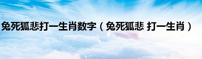 兔死狐悲打一生肖数字（兔死狐悲 打一生肖）