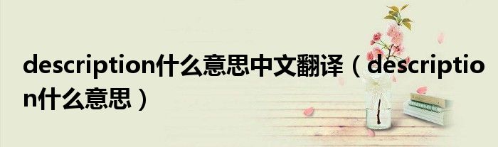 description什么意思中文翻译（description什么意思）