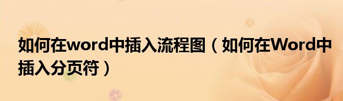 如何在word中插入流程图（如何在Word中插入分页符）