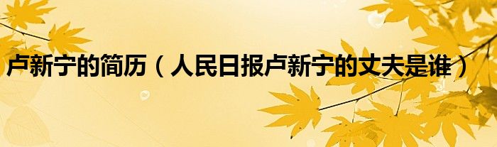 卢新宁的简历（人民日报卢新宁的丈夫是谁）