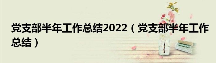 党支部半年工作总结2022（党支部半年工作总结）