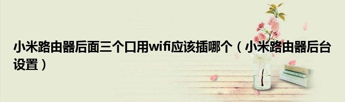 小米路由器后面三个口用wifi应该插哪个（小米路由器后台设置）
