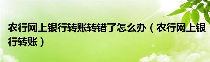 农行网上银行转账转错了怎么办（农行网上银行转账）