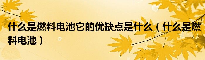 什么是燃料电池它的优缺点是什么（什么是燃料电池）