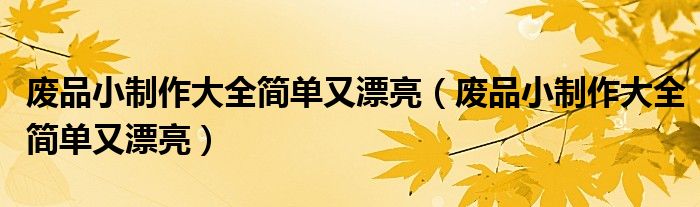 废品小制作大全简单又漂亮（废品小制作大全简单又漂亮）