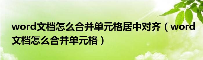 word文档怎么合并单元格居中对齐（word文档怎么合并单元格）