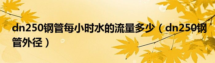 dn250钢管每小时水的流量多少（dn250钢管外径）