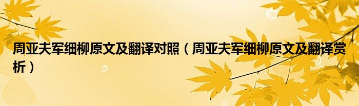 周亚夫军细柳原文及翻译对照（周亚夫军细柳原文及翻译赏析）