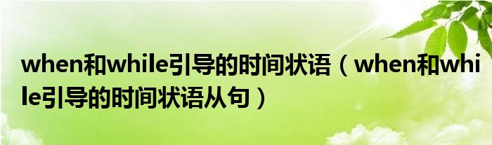 when和while引导的时间状语（when和while引导的时间状语从句）