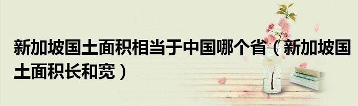 新加坡国土面积相当于中国哪个省（新加坡国土面积长和宽）