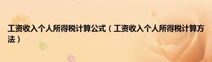 工资收入个人所得税计算公式（工资收入个人所得税计算方法）