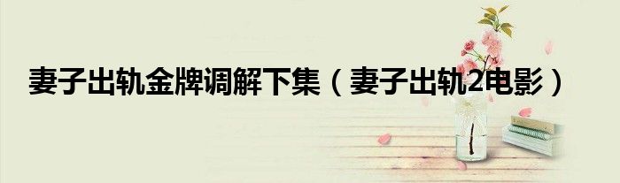 妻子出轨金牌调解下集（妻子出轨2电影）