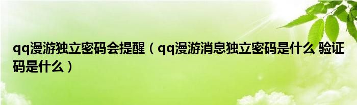 qq漫游独立密码会提醒（qq漫游消息独立密码是什么 验证码是什么）
