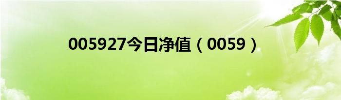 005927今日净值（0059）
