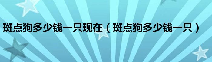 斑点狗多少钱一只现在（斑点狗多少钱一只）