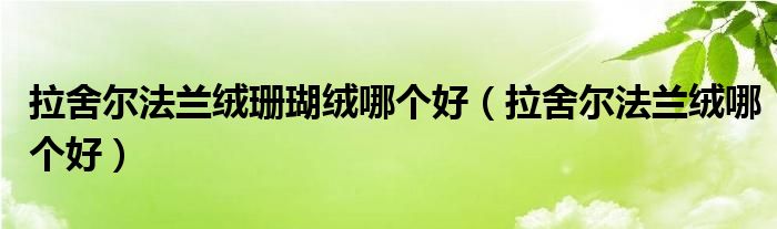 拉舍尔法兰绒珊瑚绒哪个好（拉舍尔法兰绒哪个好）