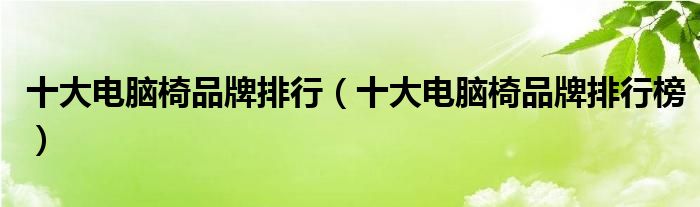 十大电脑椅品牌排行（十大电脑椅品牌排行榜）