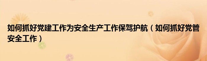 如何抓好党建工作为安全生产工作保驾护航（如何抓好党管安全工作）