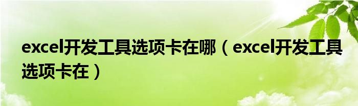 excel开发工具选项卡在哪（excel开发工具选项卡在）