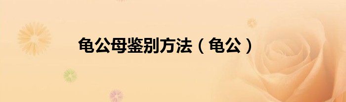 龟公母鉴别方法（龟公）