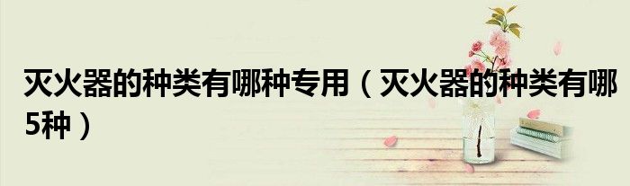 灭火器的种类有哪种专用（灭火器的种类有哪5种）