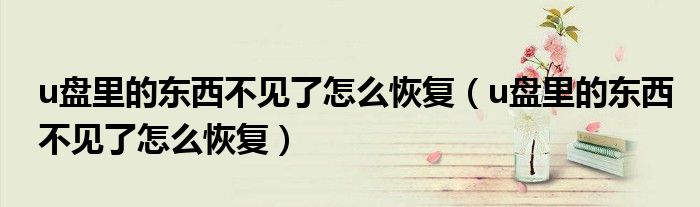 u盘里的东西不见了怎么恢复（u盘里的东西不见了怎么恢复）