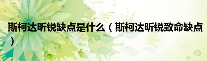 斯柯达昕锐缺点是什么（斯柯达昕锐致命缺点）