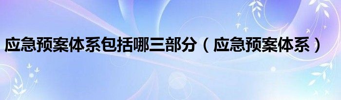 应急预案体系包括哪三部分（应急预案体系）