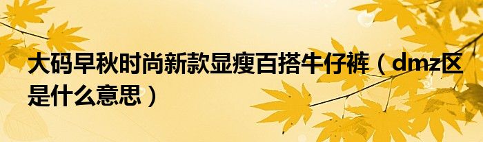 大码早秋时尚新款显瘦百搭牛仔裤（dmz区是什么意思）