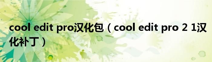 cool edit pro汉化包（cool edit pro 2 1汉化补丁）
