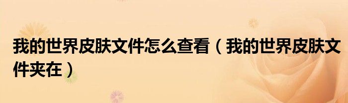 我的世界皮肤文件怎么查看（我的世界皮肤文件夹在）