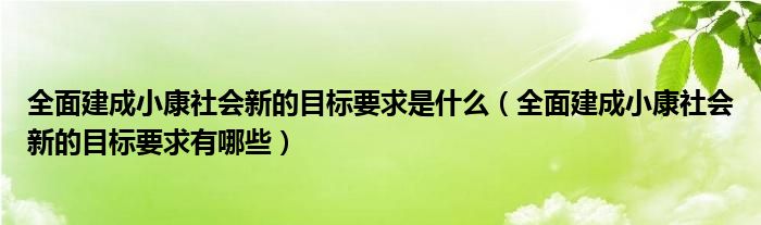 全面建成小康社会新的目标要求是什么（全面建成小康社会新的目标要求有哪些）