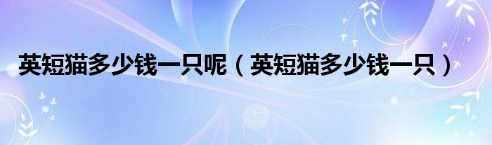 英短猫多少钱一只呢（英短猫多少钱一只）