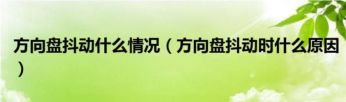 方向盘抖动什么情况（方向盘抖动时什么原因）