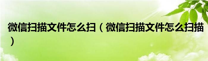 微信扫描文件怎么扫（微信扫描文件怎么扫描）
