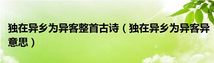独在异乡为异客整首古诗（独在异乡为异客异意思）