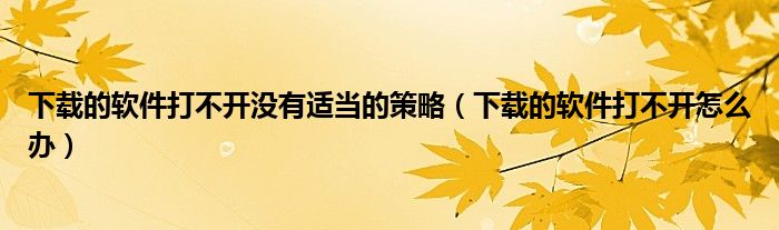下载的软件打不开没有适当的策略（下载的软件打不开怎么办）