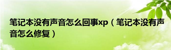 笔记本没有声音怎么回事xp（笔记本没有声音怎么修复）
