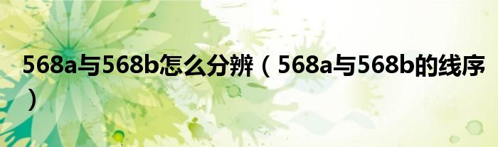 568a与568b怎么分辨（568a与568b的线序）