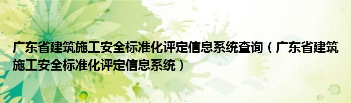 广东省建筑施工安全标准化评定信息系统查询（广东省建筑施工安全标准化评定信息系统）