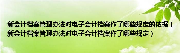 新会计档案管理办法对电子会计档案作了哪些规定的依据（新会计档案管理办法对电子会计档案作了哪些规定）