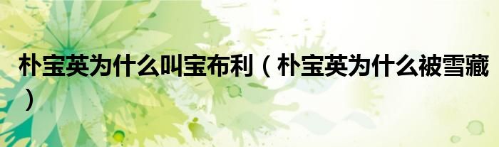 朴宝英为什么叫宝布利（朴宝英为什么被雪藏）