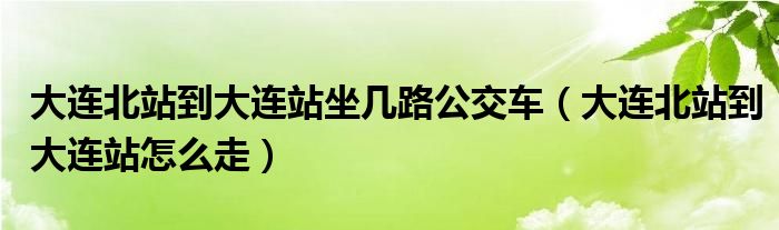 大连北站到大连站坐几路公交车（大连北站到大连站怎么走）