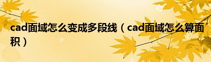 cad面域怎么变成多段线（cad面域怎么算面积）